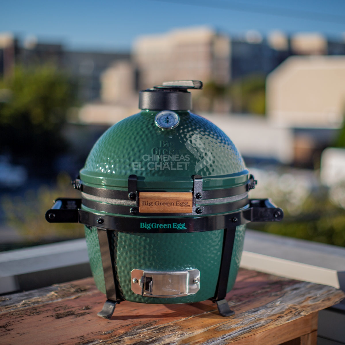 kamado big egg green chimeneas el chalet ceramica asador carbon ahumador bge precio – 3