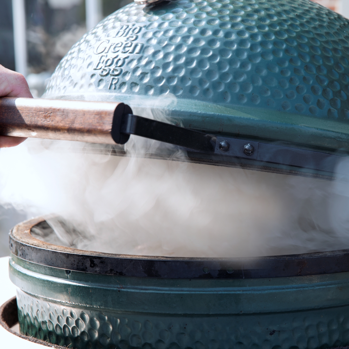 kamado big egg green chimeneas el chalet ceramica asador carbon ahumador bge precio – 4